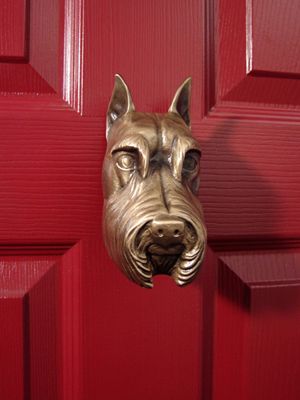 dog door knocker