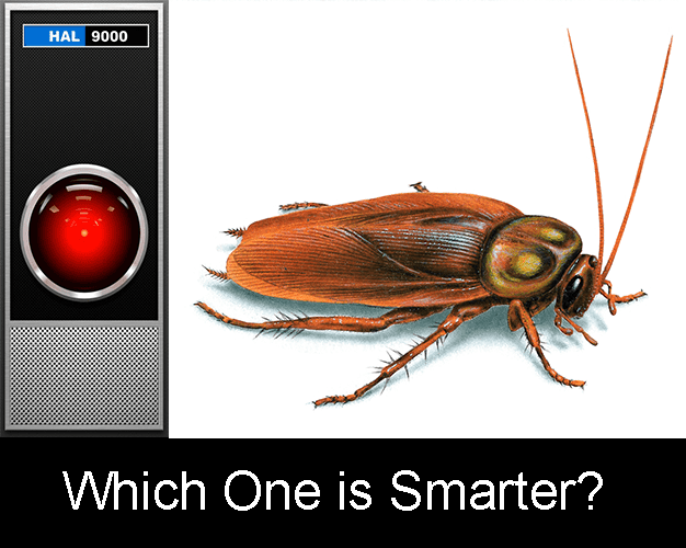 Is AI smarter than a cockroach?