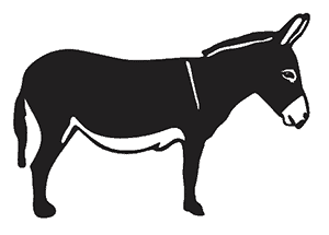 Donkey