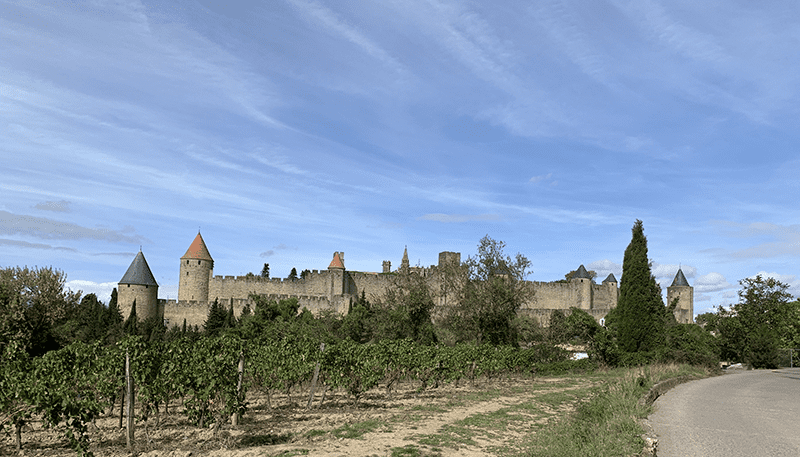 Medieval castle with towered walls atop a hill surrounded by trees and vines.
