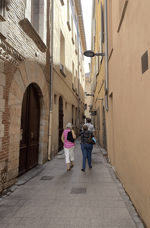 Narrow alleyway with tall, dark brown door and people walking.