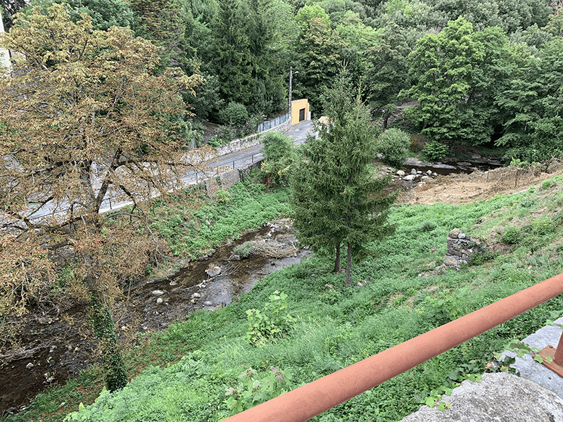 A serene natural setting with lush greenery, river, trees, bush, dirt road, and large rock formation.