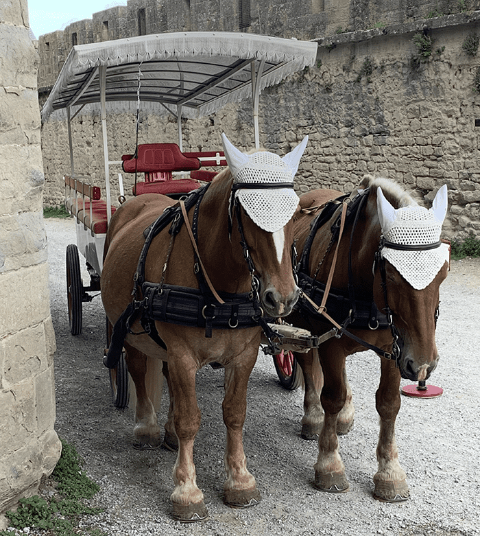 Two brown horses with white headpieces stand next to a stone wall on a gravel path.