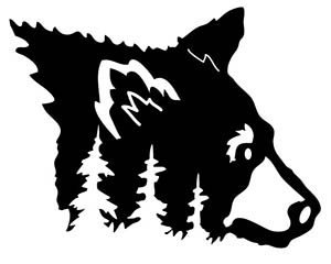 Animals 44