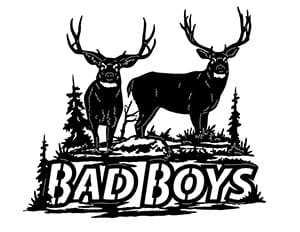 Bad Boys