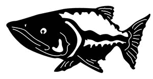 Animals 39